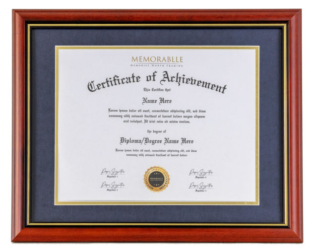 Memorablle Frames product with a reddish frame and blue inner lining.